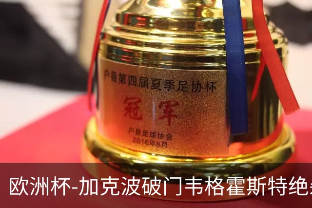 欧洲杯-加克波破门韦格霍斯特绝杀 荷兰2-1波兰